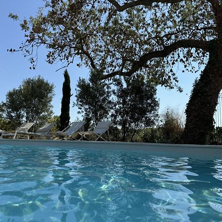 B&B Maison D'Hote Et Gite Mas D'Eymard Арл Екстериор снимка